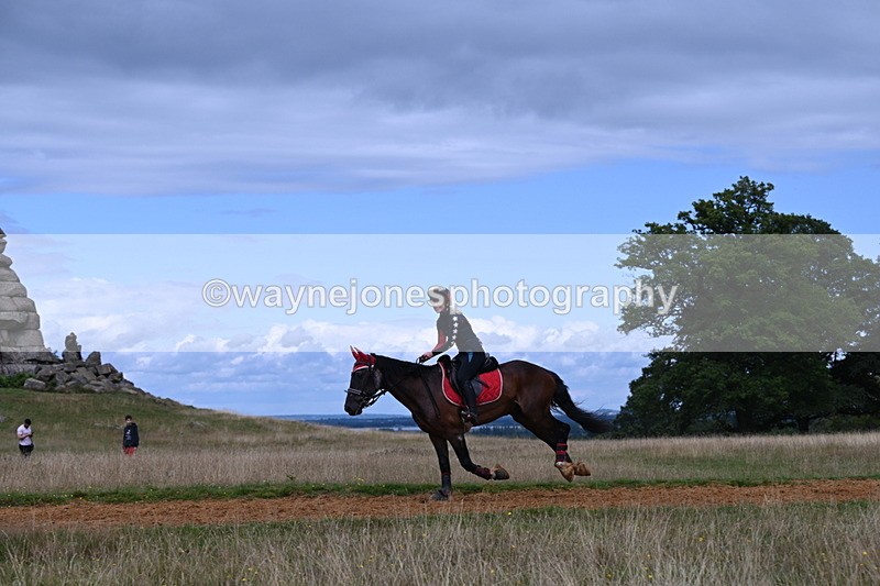 DSC_8918 - Time at Statue 14:33 to 15:10