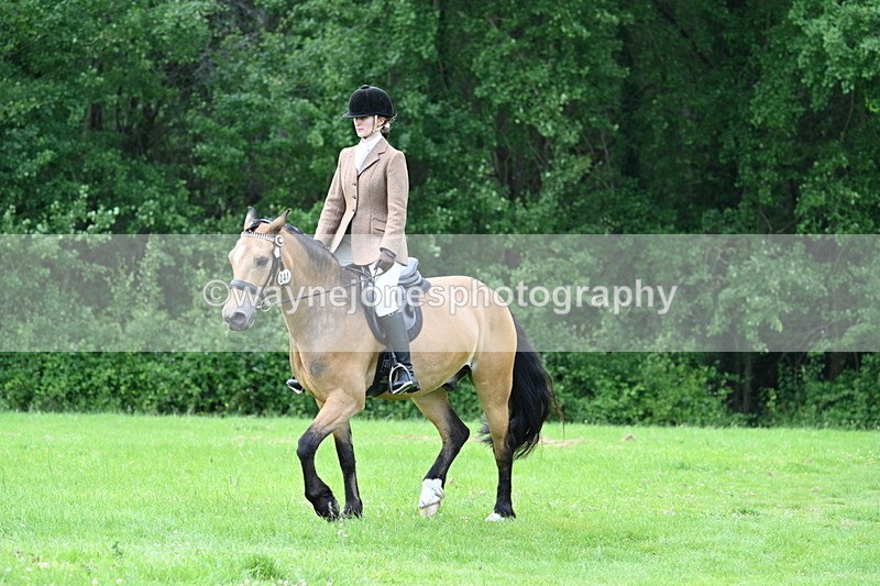 WJ7_2532 - Class 12A Coloured Class