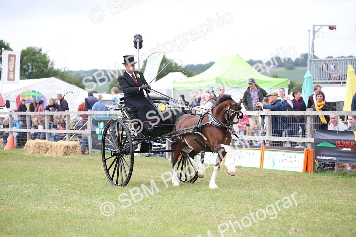 SBM_05881 - Class 12-15 - HOYS Private Driving
