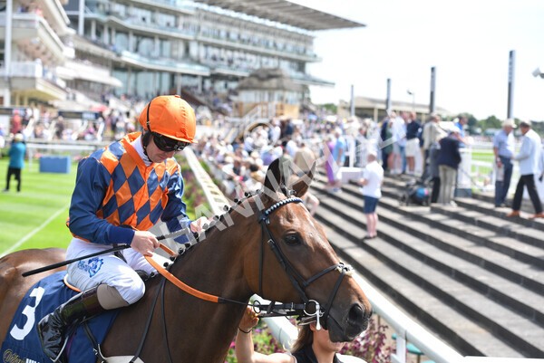 yr08072022r1 -10 - Race 1 2.05pm William Hill Best Odds Guaranteed Handicap Stakes