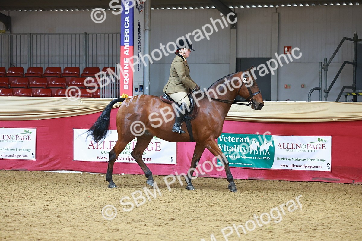 SBM_09370 - Class 102 - HOYS Veteran Qualifier - Ridden Veteran