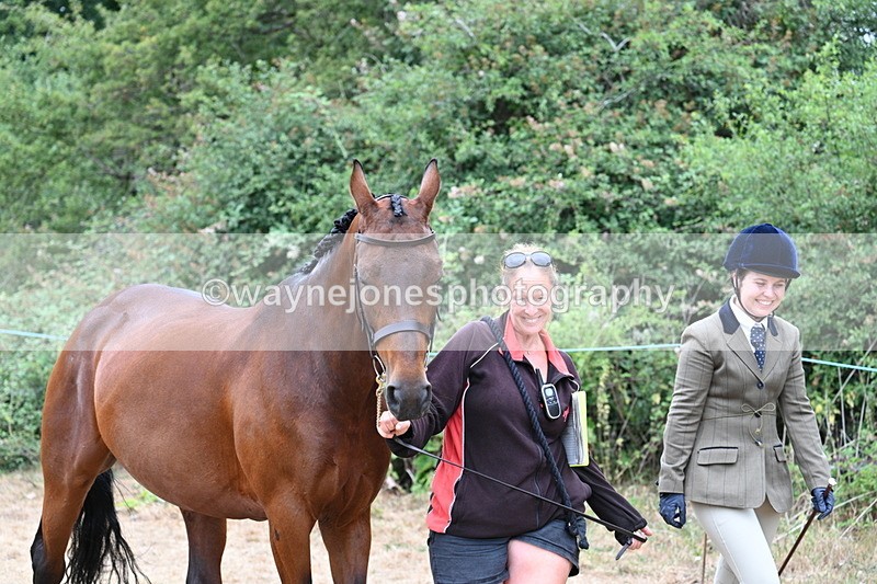 WJ7_8642 - Class 4a Prettiest Mare 14.2hh and over
