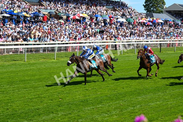 120725-Race 3-Fox Legacy-5691 - Race 3 3.10pm John Smith's Cup Handicap