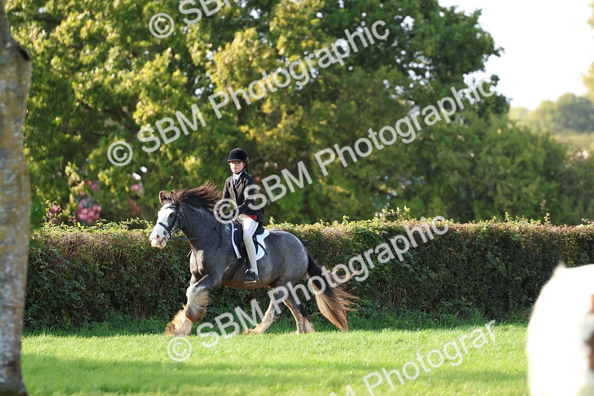 SBM_52481 - S13 - Pony Club Pony