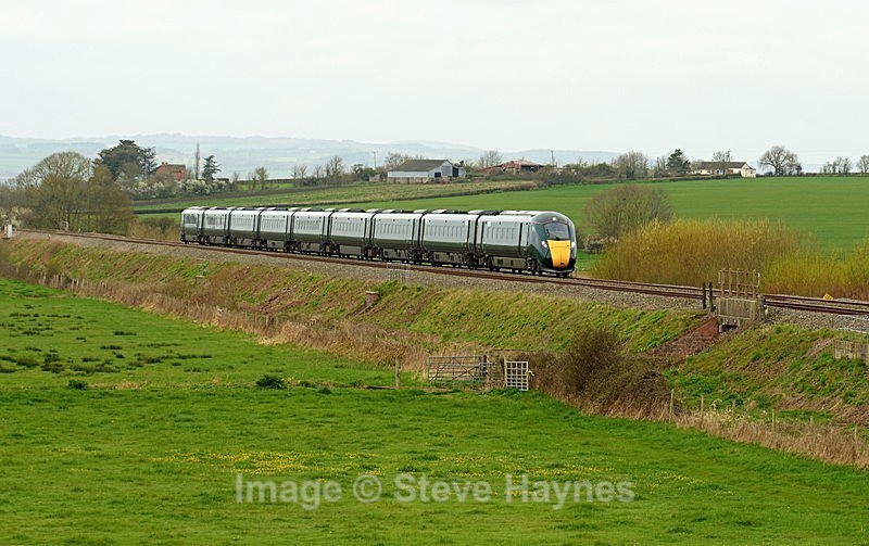 23rd March 2019 - Curry Rivel (Oathe, Wick), Somerset