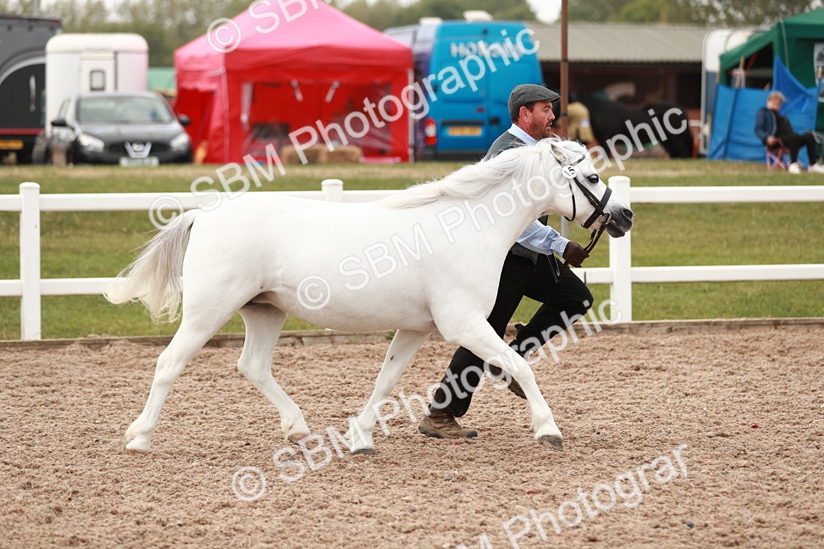 SBM_12470 - Class 207 IH M&M