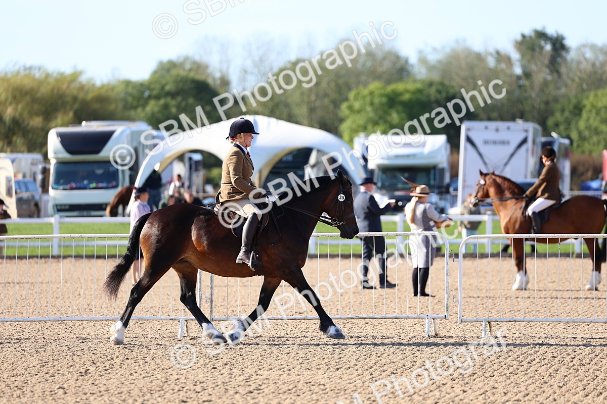 SBM_08859 - Class 302 - Ridden M&M - Large Breeds