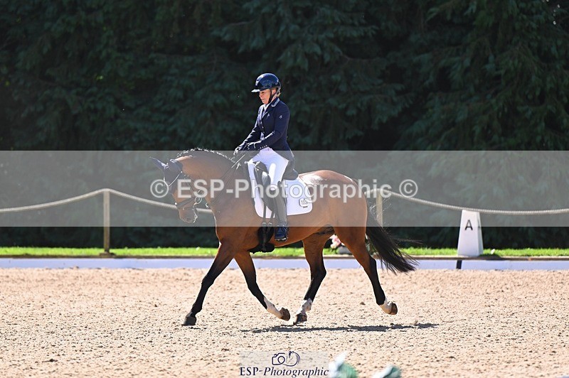 240809-111255-00523 - 133-Dawn.Bear-First.Taylor.Made