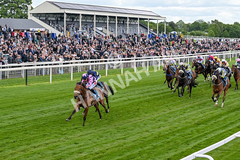150526-Race 1-Zarathos-0050 - Race 1 1.45pm Yorkshire Equine Practice Handicap
