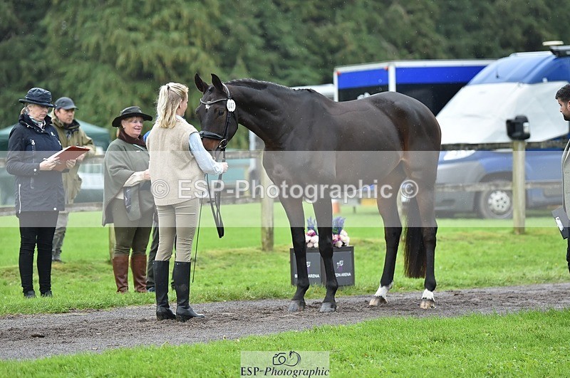 231018-124218-00462 - 047-FIREBALL.III-Oda.Christine.Lippestad-TrotUp