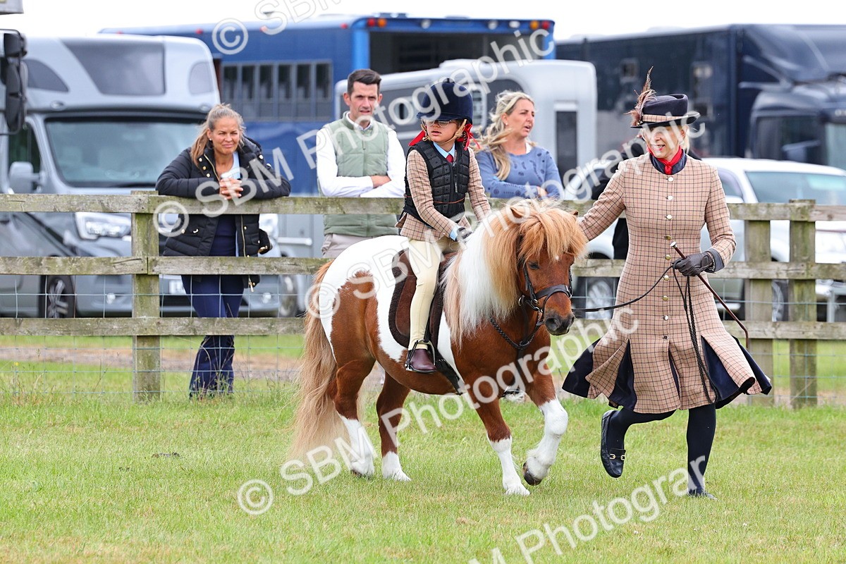 SBM_08236 - Class 42-43 - LIHS BSPS Heritage Working Sports Pony