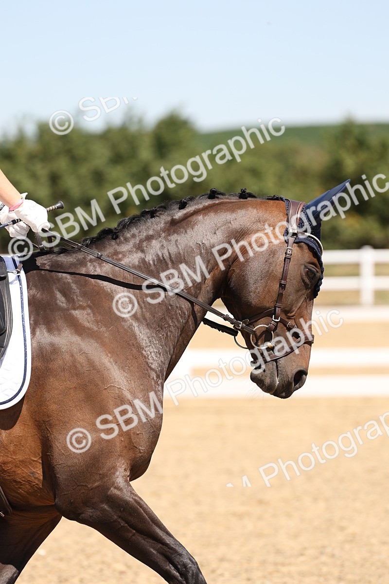 SBM_002092 - Elementary 4 Warm Up