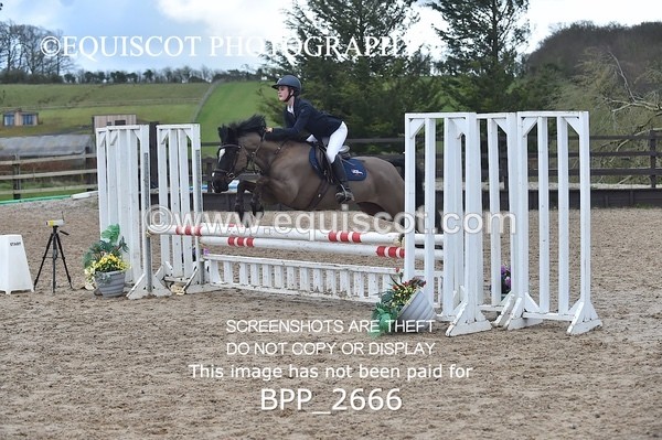 BPP_2666 - CLASS 29 STX-UK Pony BritiNovice / 0.80m Open