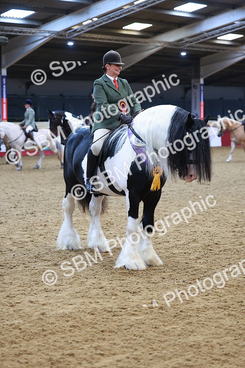 SBM_09863 - Class 102 - HOYS Veteran Qualifier - Ridden Veteran