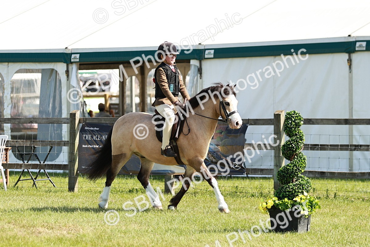 SBM_12703 - Class 106-107 - BSPS LIHS Working Sports Pony