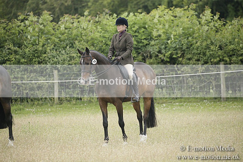 B230619-0334 - Bourne Valley Riding Club Summer Show 23/06/19