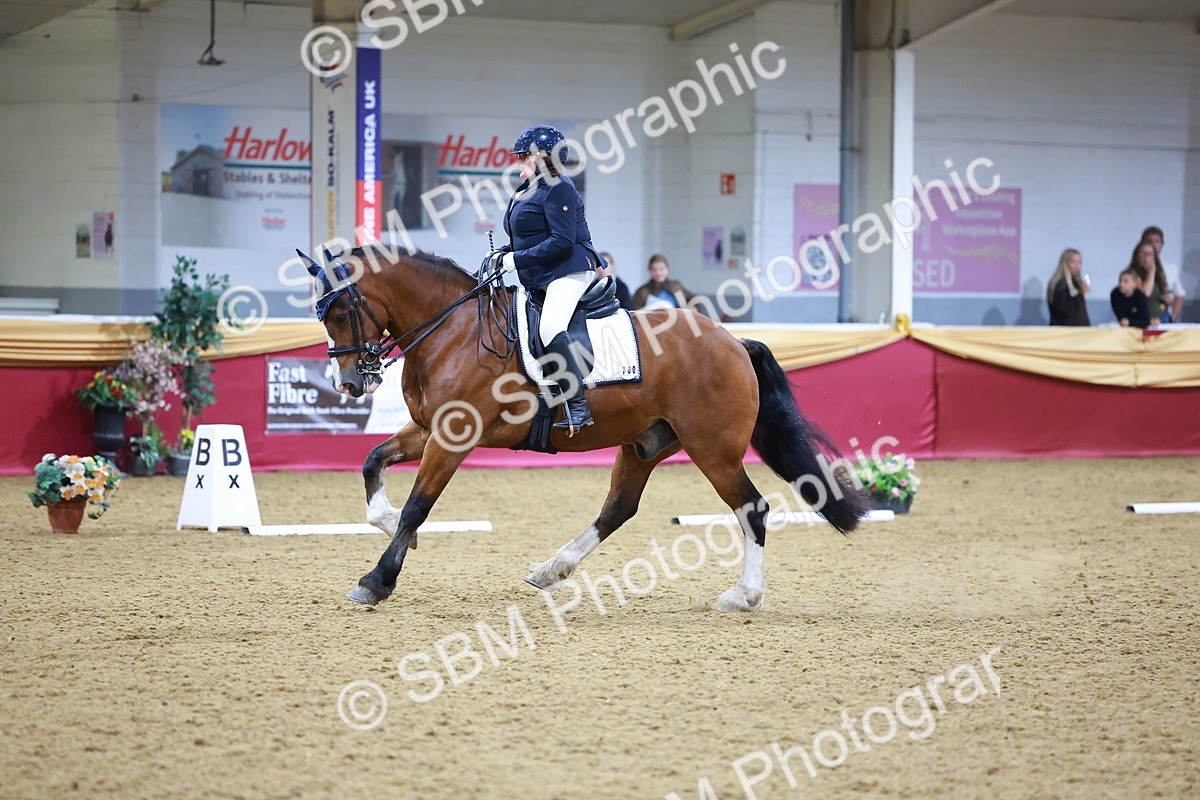 SBM_06786 - Class 61 - Dressage to Music