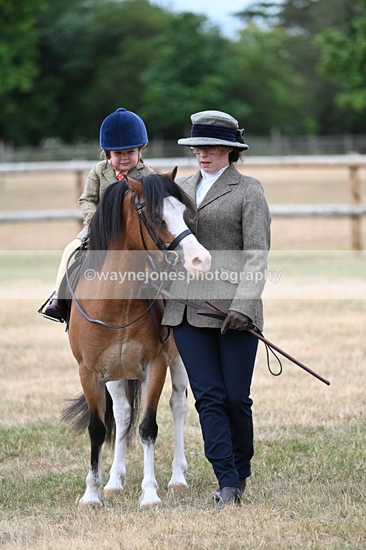 WJ7_9699 - Class 1 Lead Rein Pony