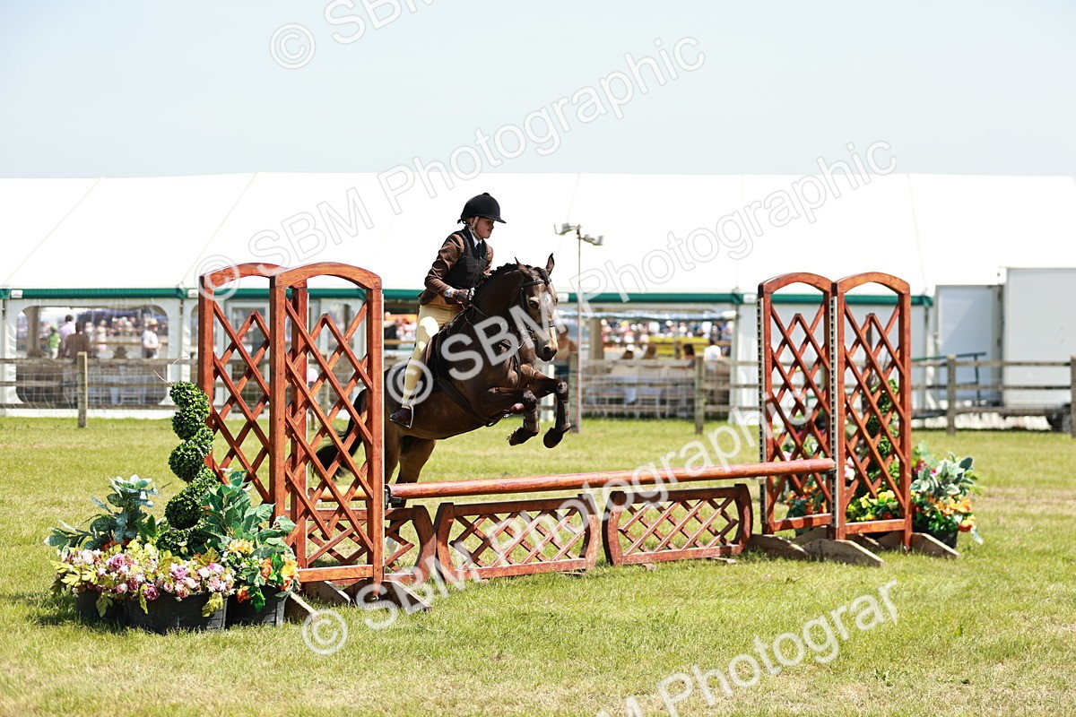 SBM_15449 - Class 108-109 - BSPS LIHS Open Gradle & Nursery Stakes