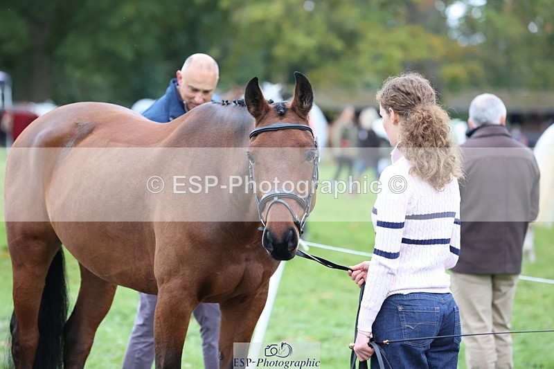 251026A-112251-25402 - G-516-Zara.Bucknell