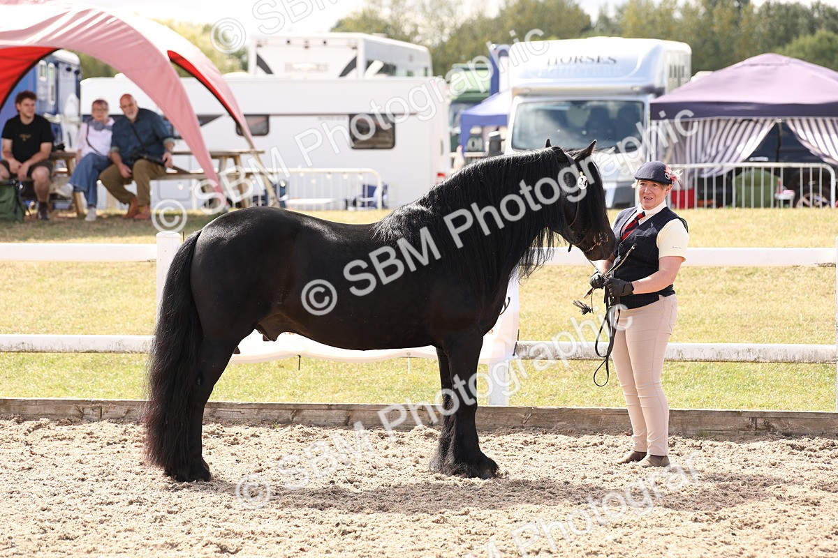 SBM_15043 - Class 209 - IH Veteran Pony