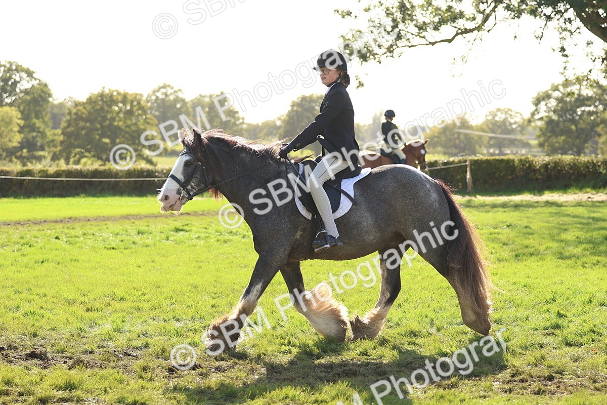 SBM_52426 - S13 - Pony Club Pony