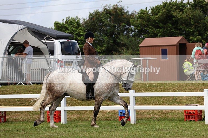 3E7A0261 - Class 6: Rising Star Maxi Cobs