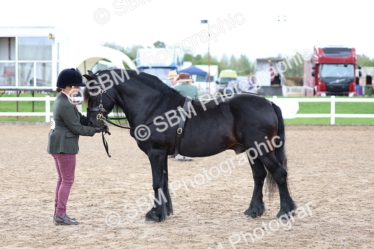 SBM_01273