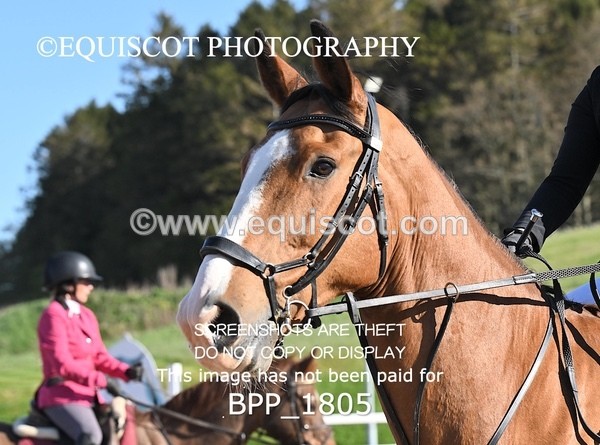 BPP_1805 - CLASS 1 - FRI - KBIS Club Senior 70cms