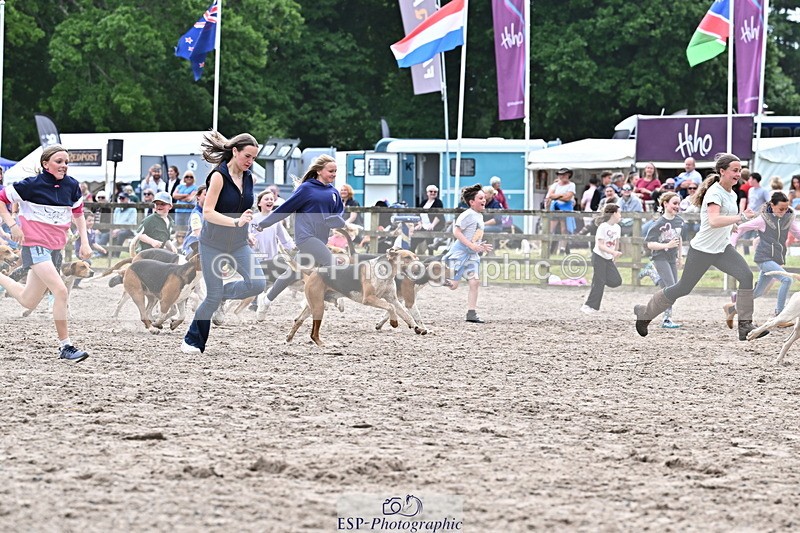 250524A-152839-12779 - East Devon Hounds