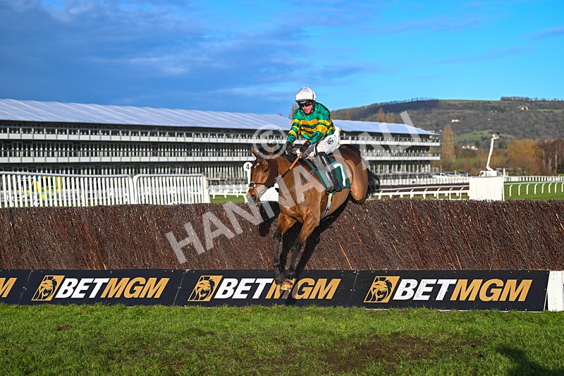 141224-Race 4-In Excelsis Deo-1862 - Race 4