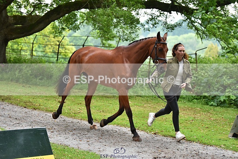 240522-165944-01310 - 232-MAYFAIR_TN-Susie_Berry