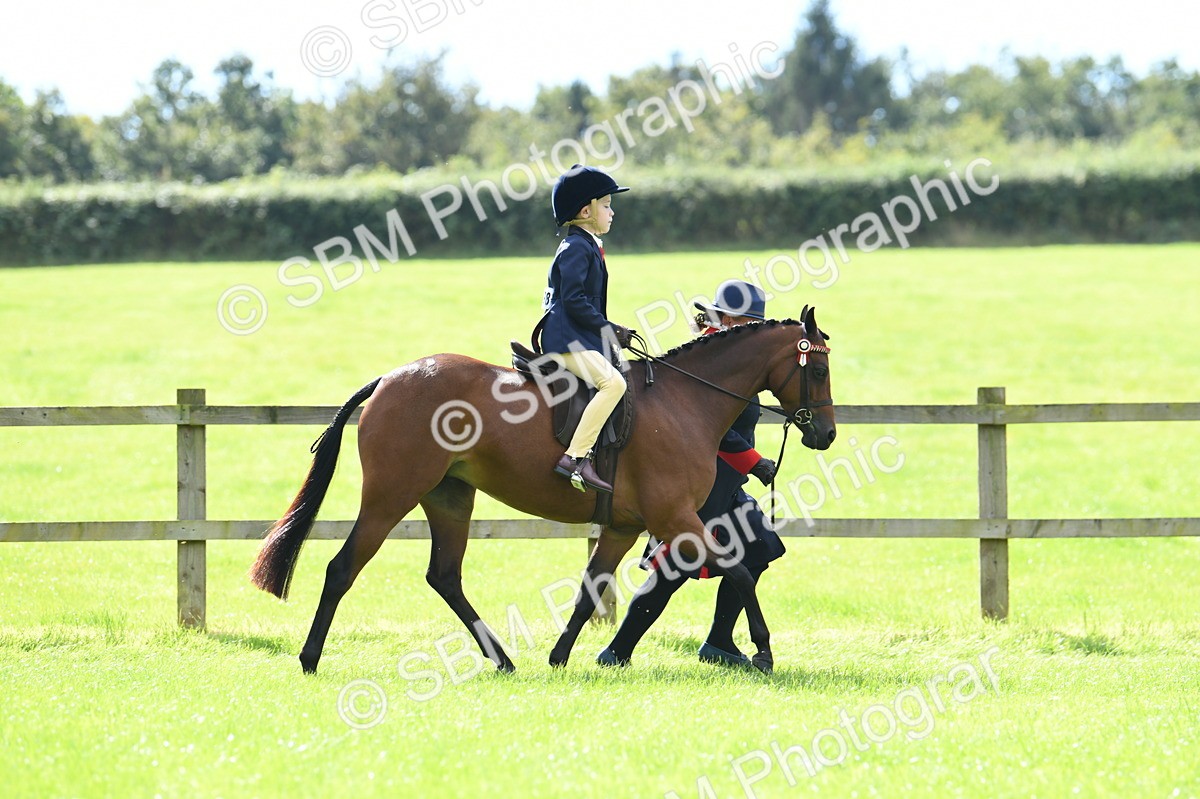 SBM_41173 - S19 - Lead Rein Show & Show Hunter Pony