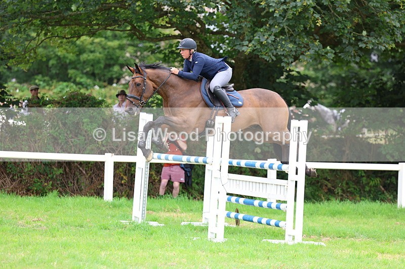 3E7A8460 - Class 8: Senior Foxhunter/1.20m open
