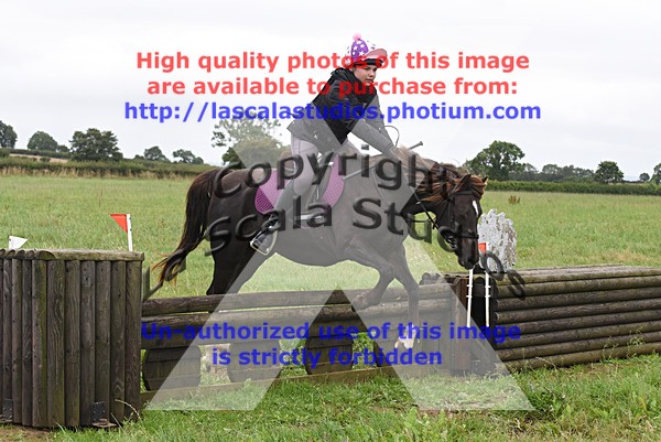 PPACP_0087 - N Group