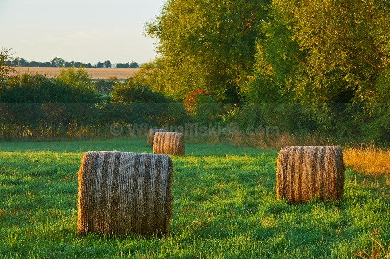  - Landscapes