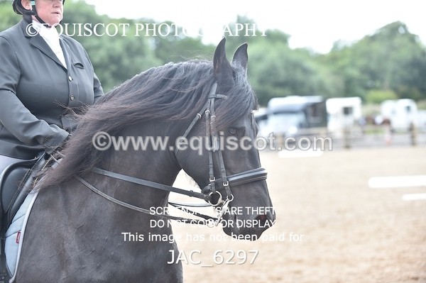 JAC_6297 - ELEMENTARY