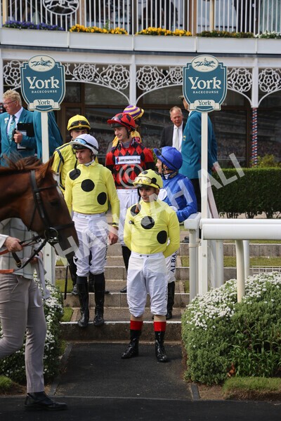 yr11062022r6-1 - Race 6 4.15pm Reg Griffin Appreciation EBFstallions.com Maiden Stakes