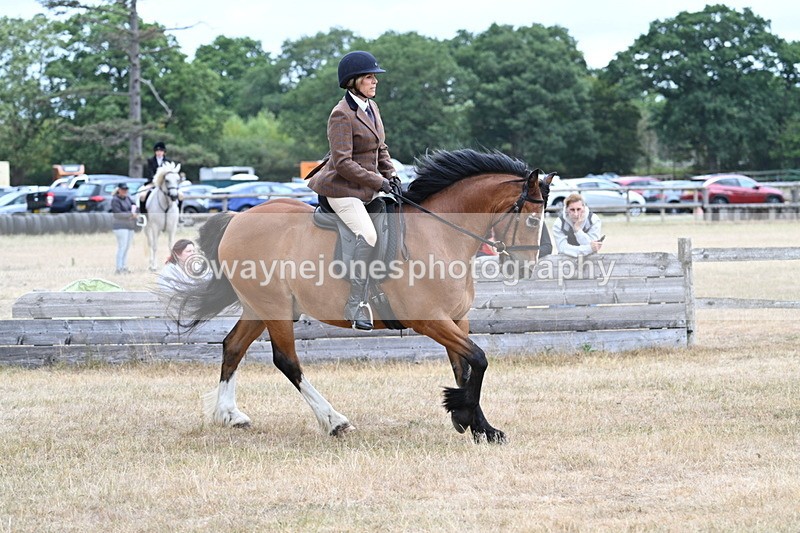 WJ7_0553 - Class 6 Ridden Mountain and Moorland