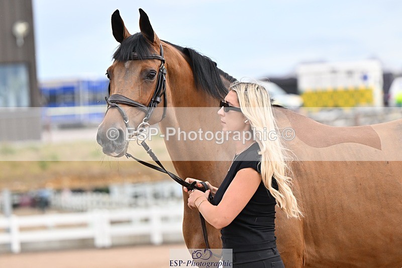 250716-151502-01819 - Trot Up 2.30 to 3.30