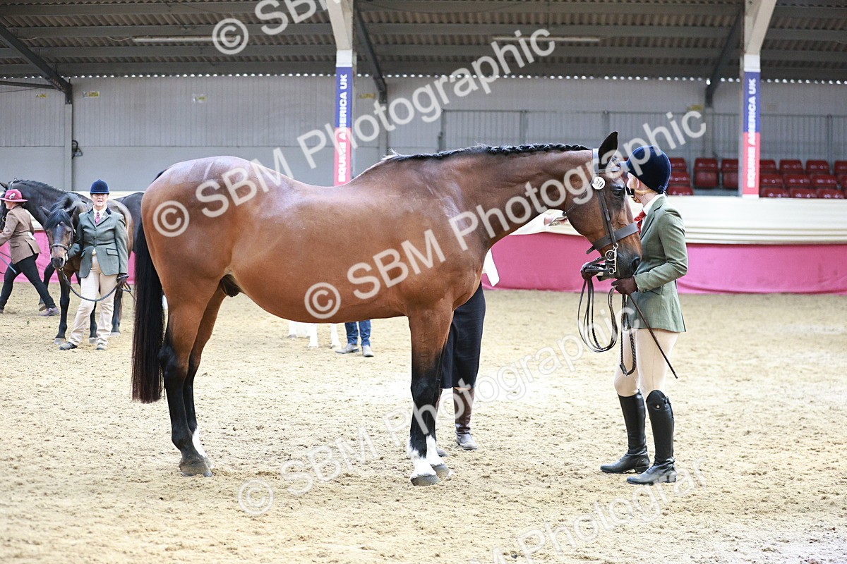 SBM_04825 - Class 7R - Regional IH Diamond