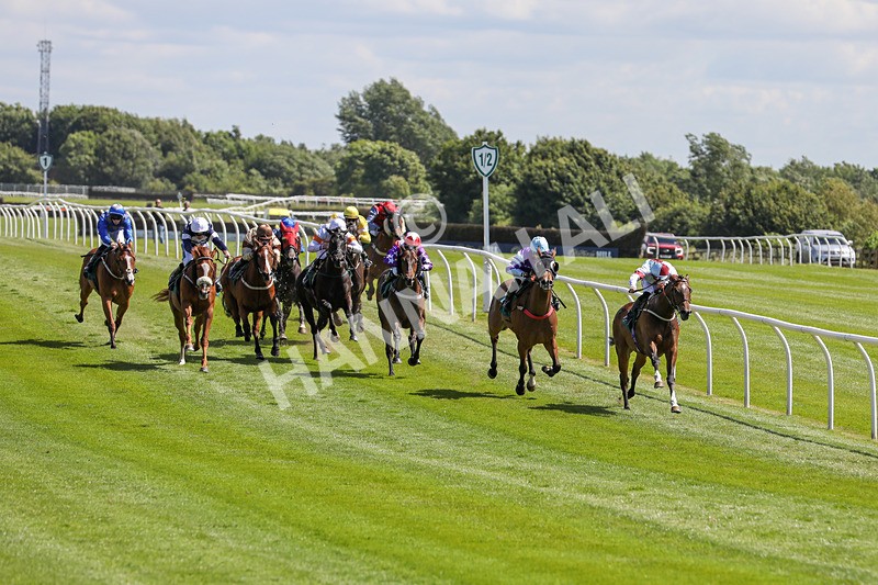 080624-Race 2-Patontheback-4598 - Race 2