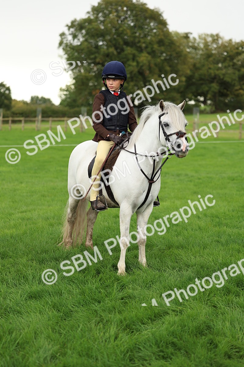SBM_41907 - S32 - Mountain & Moorland Working Hunter Pony