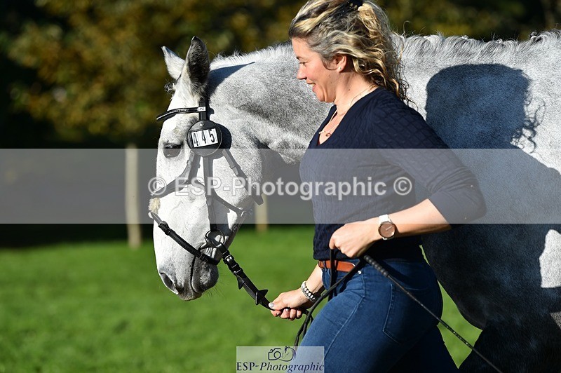 231022-104026-22658 - 445-CRUISING.BORO-Lucy.Knight-TrotUp+SJ