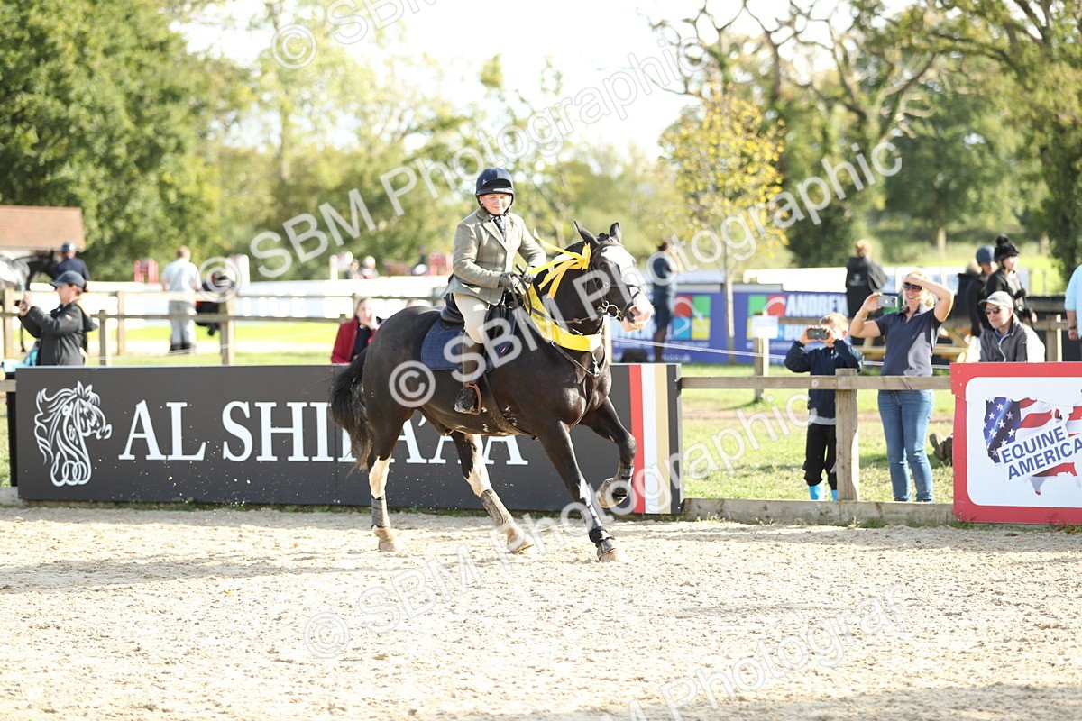 SBM_49672 - J22 - Junior Horse 65cm Championship