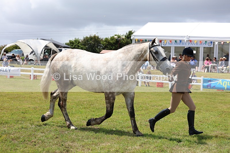 3E7A2162 - Class 10: Open Cob