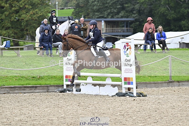 251005A-123019-03811 - Cls 08 Mini 70-75cm