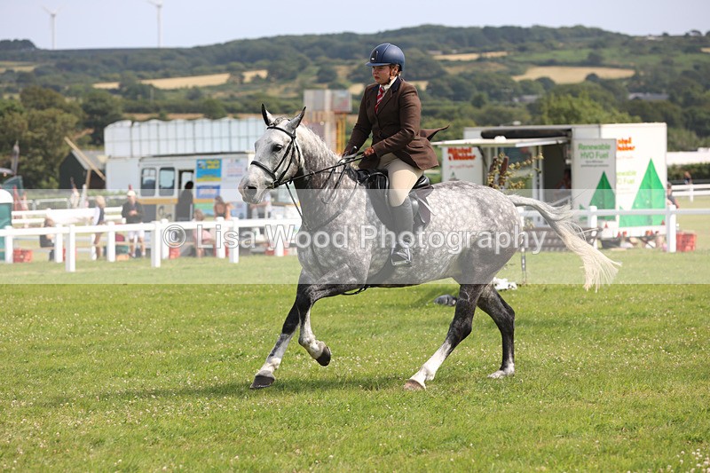 JPP_3990 - Class 24: Working Hunter 90cm