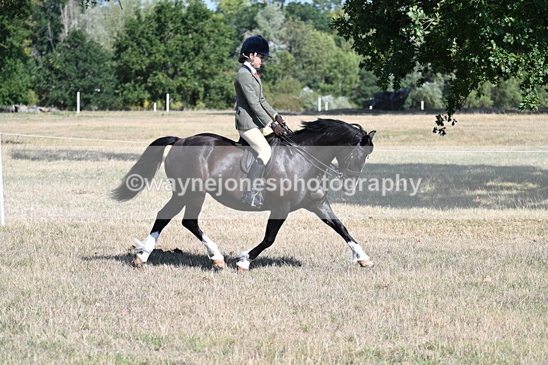 WJ7_3706 - Class 9 Mountain & Moorland Ridden