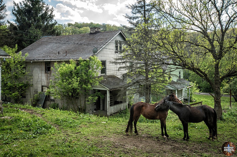  - Yellow Dog Village
